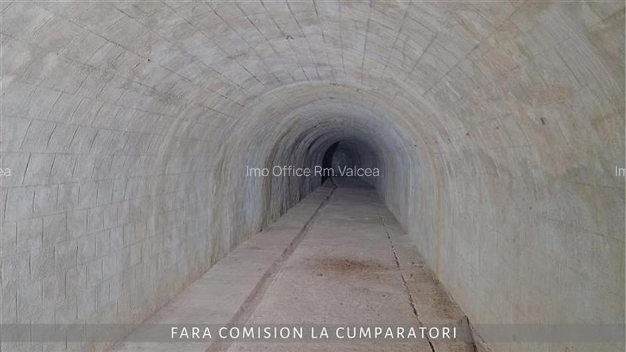 OPORTUNITATE UNICA IN DOMENIUL VITICOL - 9