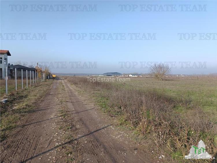 Teren intravilan la  DJ 101, in Gruiu, aproape de manastirea Caldarusani, ideal - 3