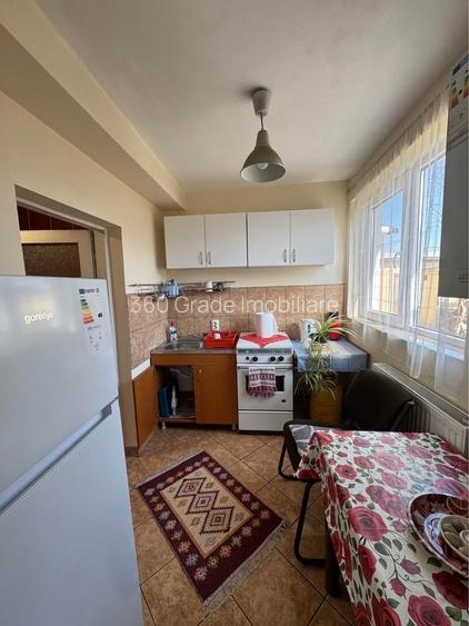 Inchiriere 2 apartamente cu 1 camera, 250 euro Buziasului - 7