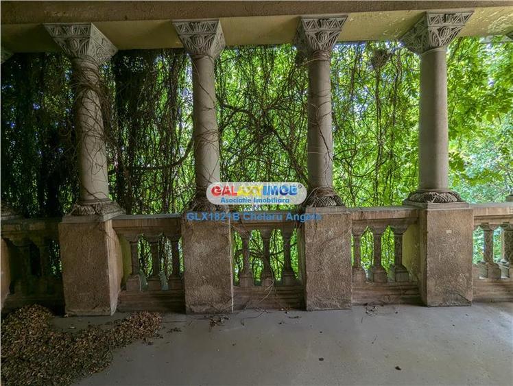 Cismigiu, vila neoromaneasca, suprafata construita 3000 mp, teren 1760 - 5