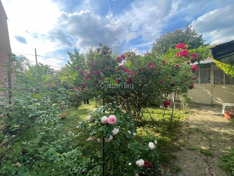 Casă de vânzare in cartierul 23 August (Republica) - 6