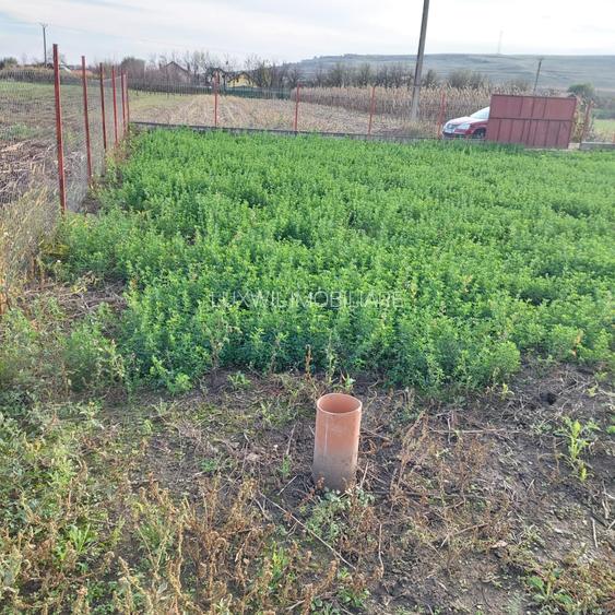 Vanzare teren în localitatea Răscruci - 2