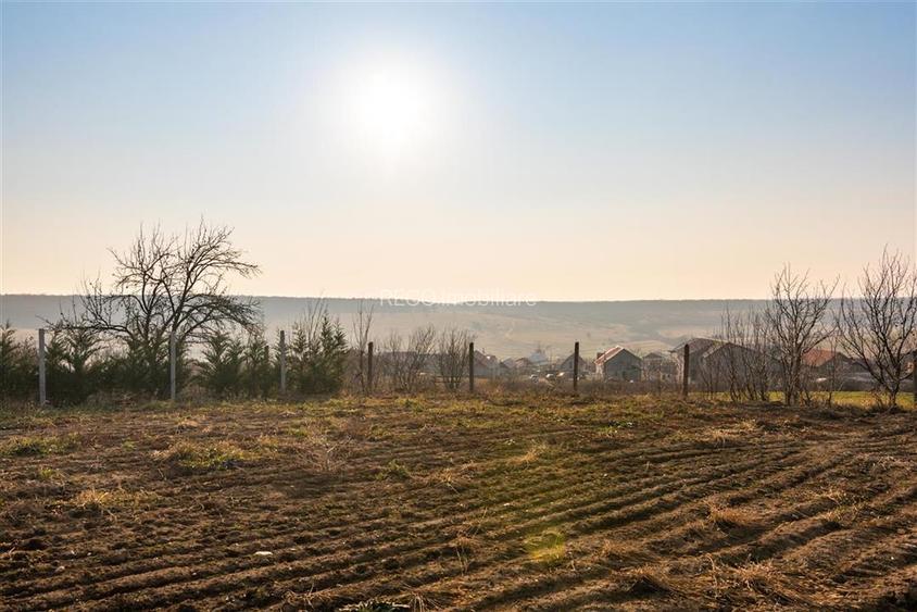RECO Teren intravilan +utilitati 1000 mp zona Baile Felix - 13