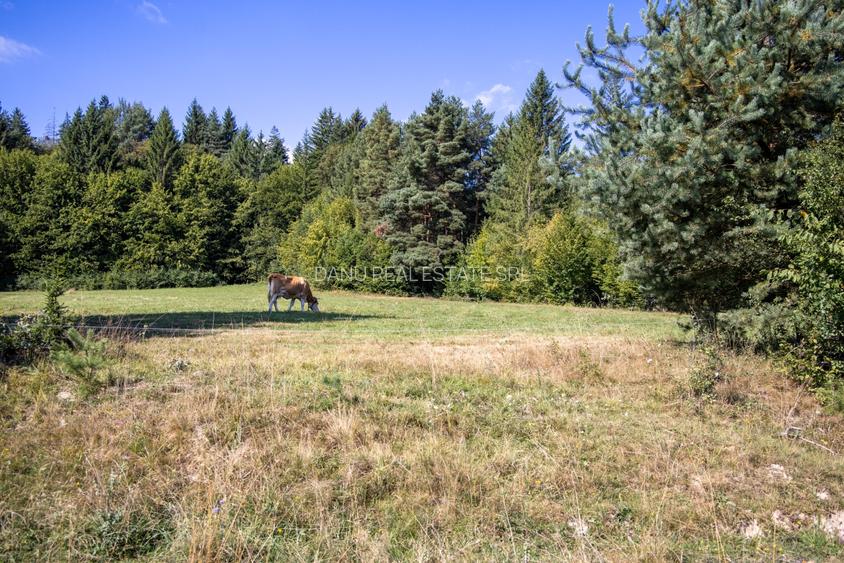 Teren intravilan 6800 mp, zona Lacuri Vulcan, Brașov - 12