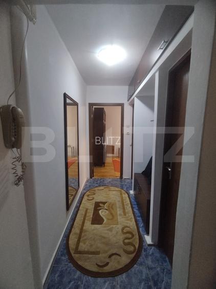 Apartament 3 camere Alexandru cel Bun - 17