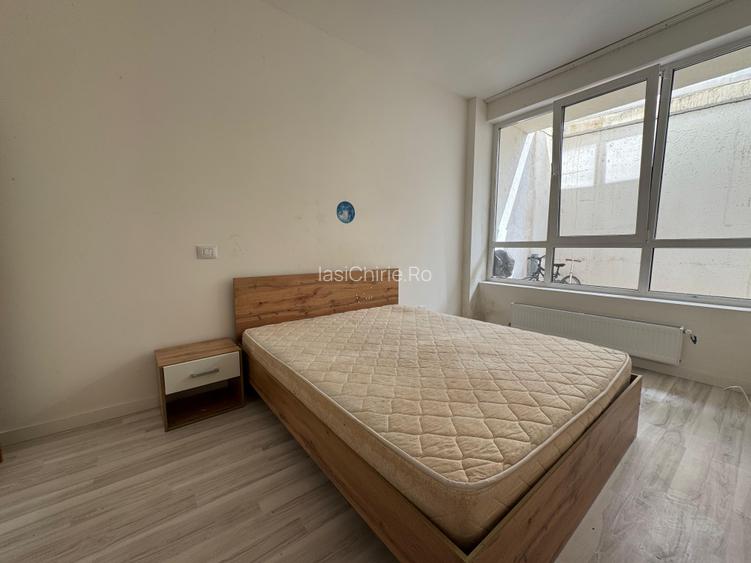 Apartament cu 1 camera Visan - 2