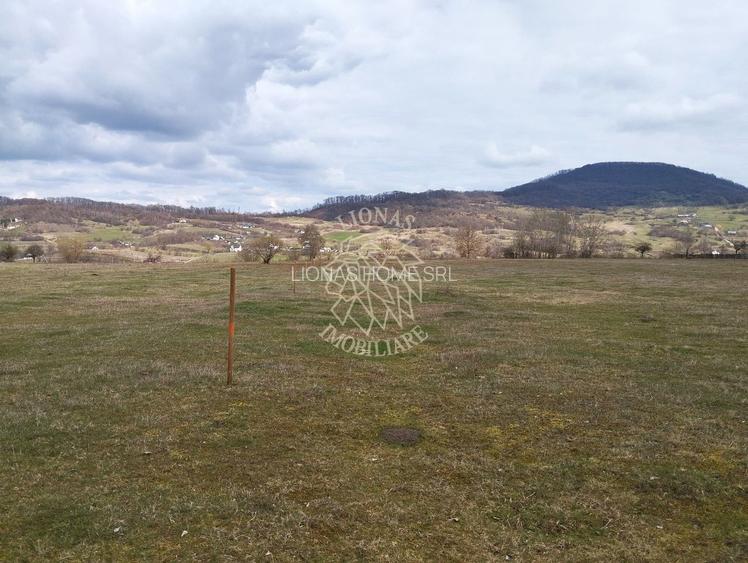 Teren 3700 mp - vedere panoramic - Zona Str. Ghinzii - 3