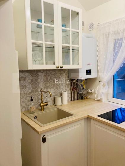 Investitie stabila in zona centrala – imobil pregatit pentru inchiriere, Horea  - 8