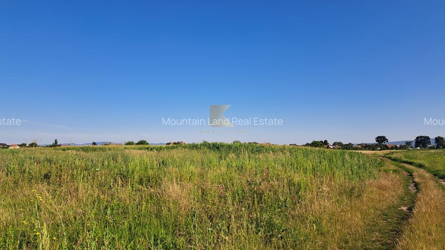 Posibilitate RATE | Teren Bod | curti constructii | utilitati | PUZ, - 16