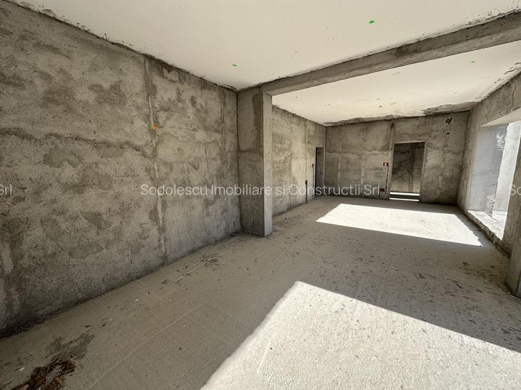 Proiect deosebit zona Medicina / Isho - 13