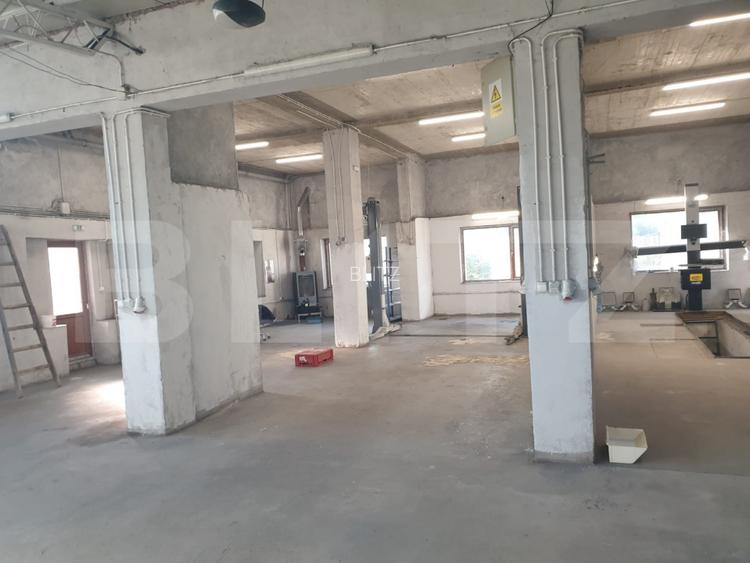 Hala/depozit/service auto, 380 mp, Dudovicesti - com. Simnicu de Sus - 13