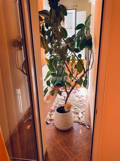 Bloc reabilitat 1985, et.2/8- Teiul Doamnei, stradal - 5