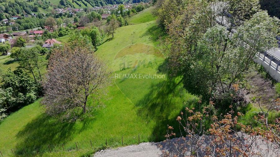 Teren intravilan |Moieciu de Jos| str. Principala| - 2