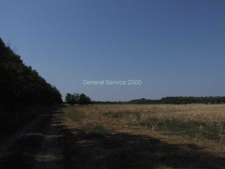 Clinceni-Ordoreanu-padure loturi  733mp - 9