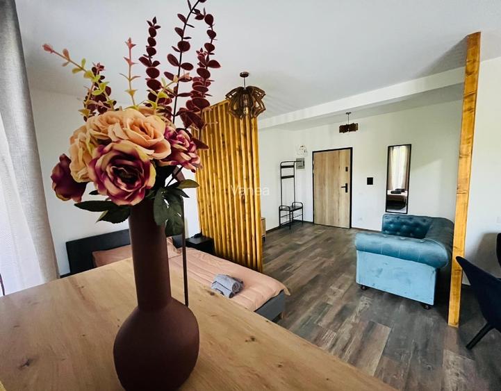 Vand apartament 1 camera - 4