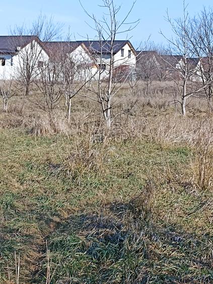 Comuna Pamntelimon aproape lac 2 loturi x 303 mp - 6