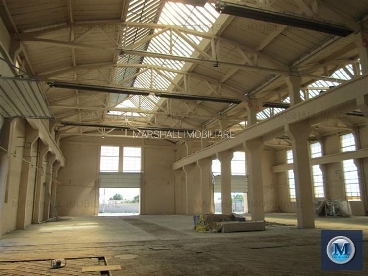 Spatiu industrial de inchiriat in Boldesti-Scaeni, zona Sud, 1948 mp #10186 - 6