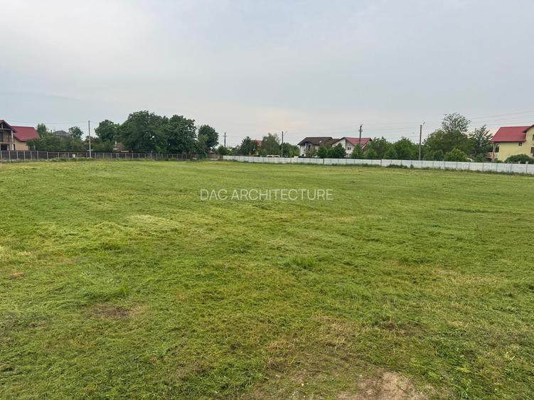 TEREN INTRAVILAN 4045 mp  CACIULATI - MOARA VLASIEI - 6