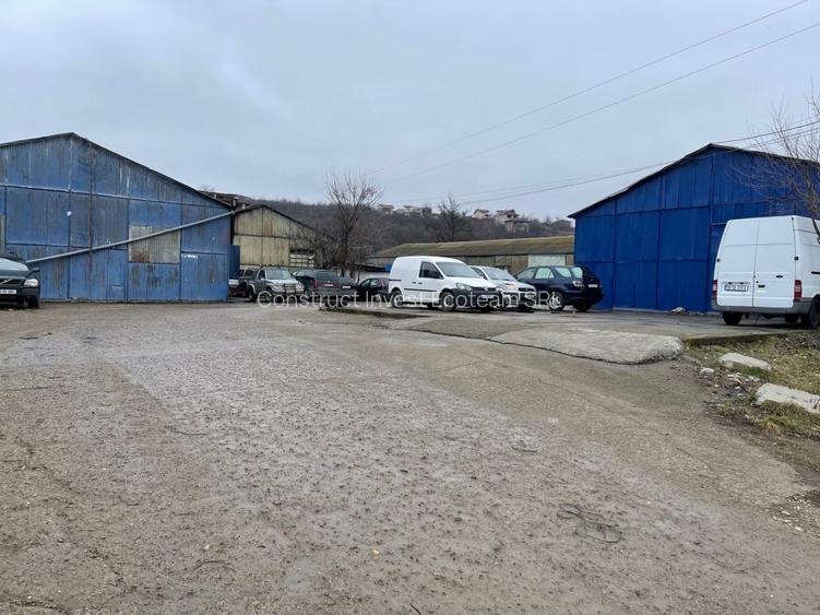 Vand teren cu hale 8.000 mp Sos. Bucium nr. 23 - 11