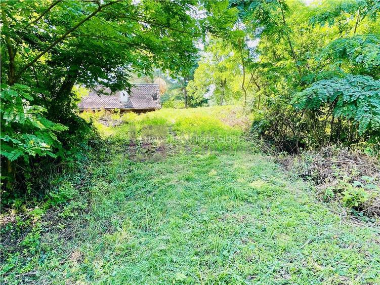 Teren 3581 mp | Marginimea Sibiului | priveliste superba - 4