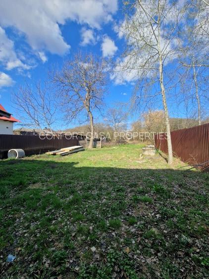 Mioveni - Cosesti - stradal, IDEAL  LOCUINTA/SPATIU COMERCIAL - teren 1250 mp - 9