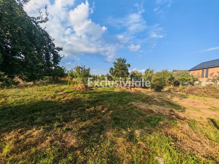 Teren intravilan 1.600 mp Mioveni – Zona Pruni - 6