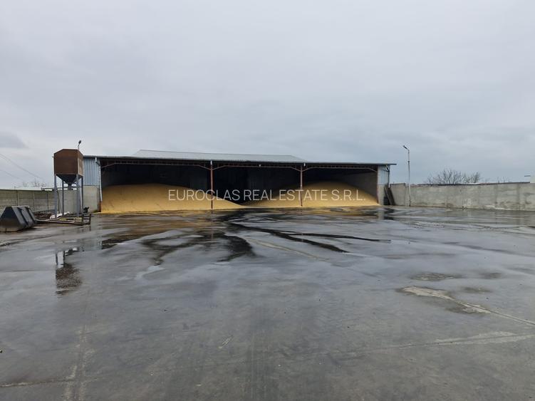 EXCLUSIVITATE! Afacere - Depozit cereale - Lumina-350.000 euro(Cod E8) - 3