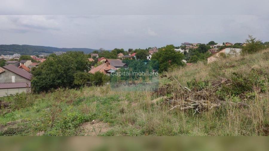 COMISION 0%! Teren constructii 3400 mp, panorama, Dambul Rotund - 3