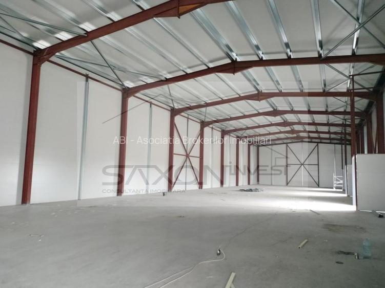 Drumul între Tarlale - Oxigenului. - Suprafața totală de 1126 mp - 3