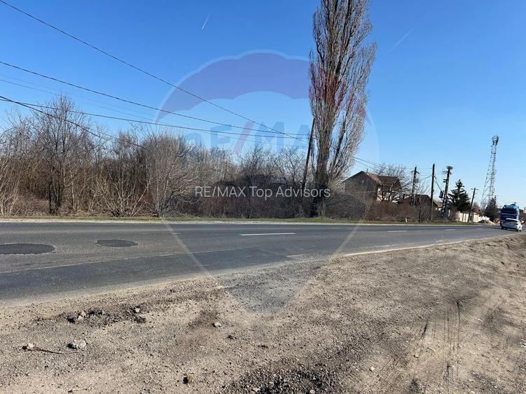 VANZARE Teren intravilan 40,000mp Cocani / Academia Titi Aur - 3