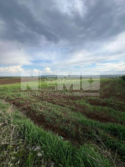 🌟 Teren de Vânzare 20 Ari | Salcea, Suceava | 💥 Preț: €59.600 - 2