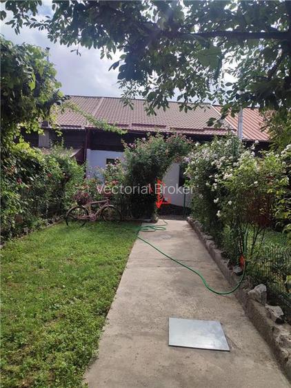 Inchiriere casa individuala 3 camere si curte generoasa Chitila - 11