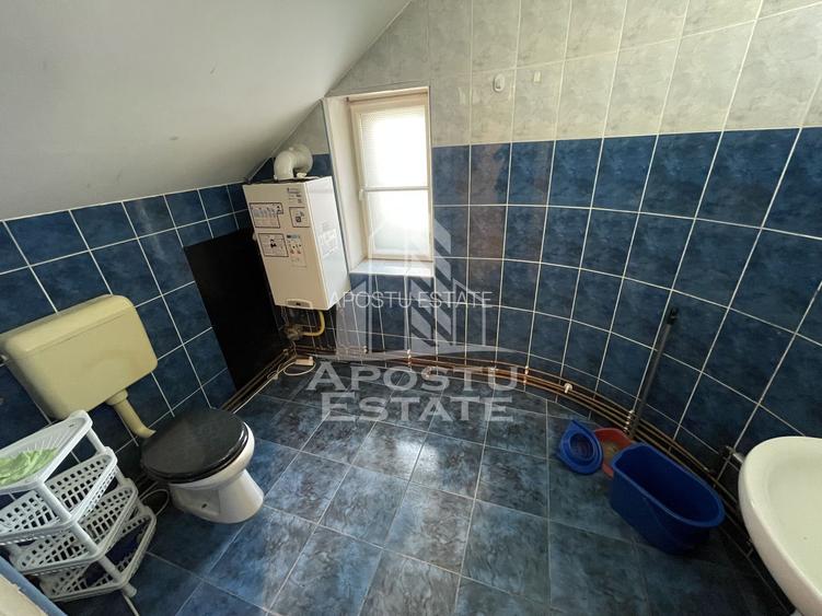 Spatiu comercial de inchiriat, 2 camere, Zona Maria Timisoara - 3