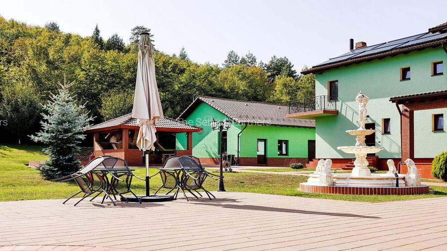 PROPRIETATE DEOSEBITA - LIZIERA PADURII - 28