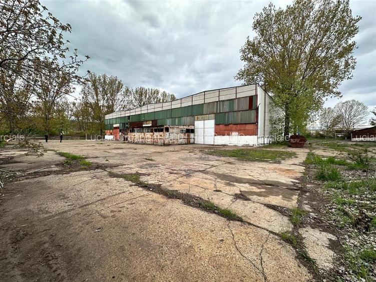 Hala productie, depozitare Vaslui, 5132mp - 14