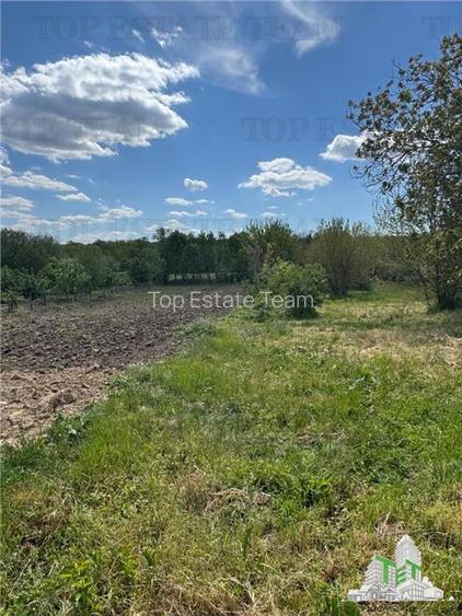 Casa si teren localitatea Posta jud Tulcea - 11