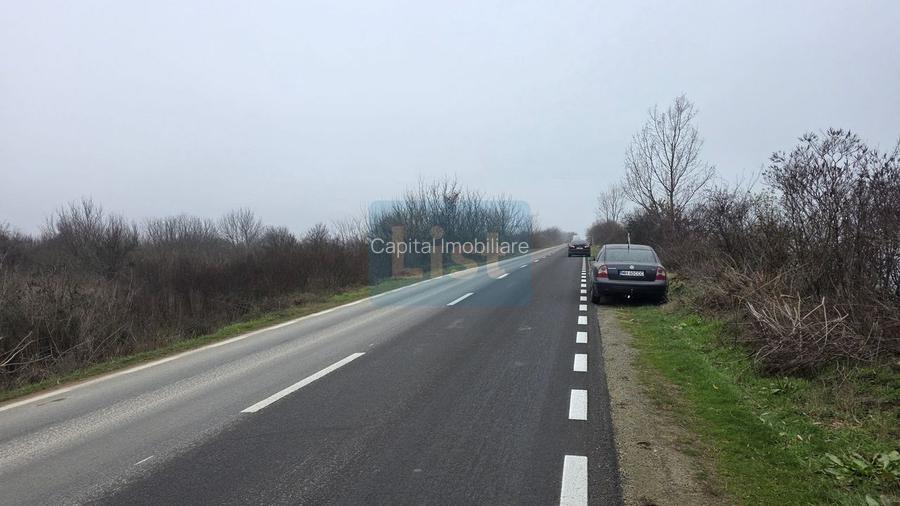 Teren 3000 mp dublu acces – vedere la Dunăre - 6