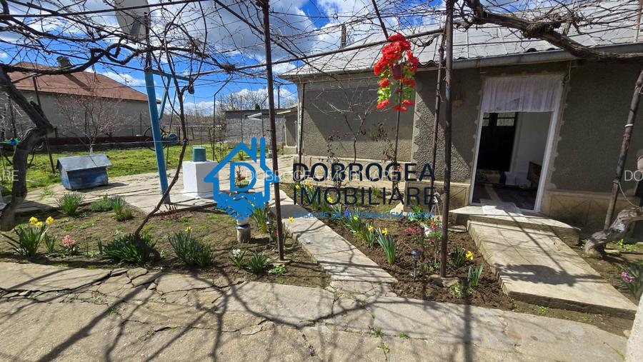 MIHAIL KOGALNICEANU-CASA BATRANEASCA ,TEREN 1975 MP - 13