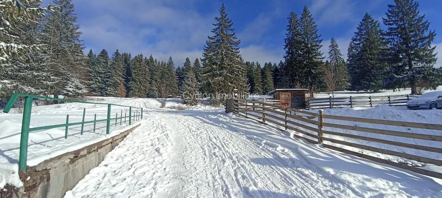 Vanzare teren 900 mp/25 ml toate utilitatile, Predeal laga Cabana Trei Brazi - 9