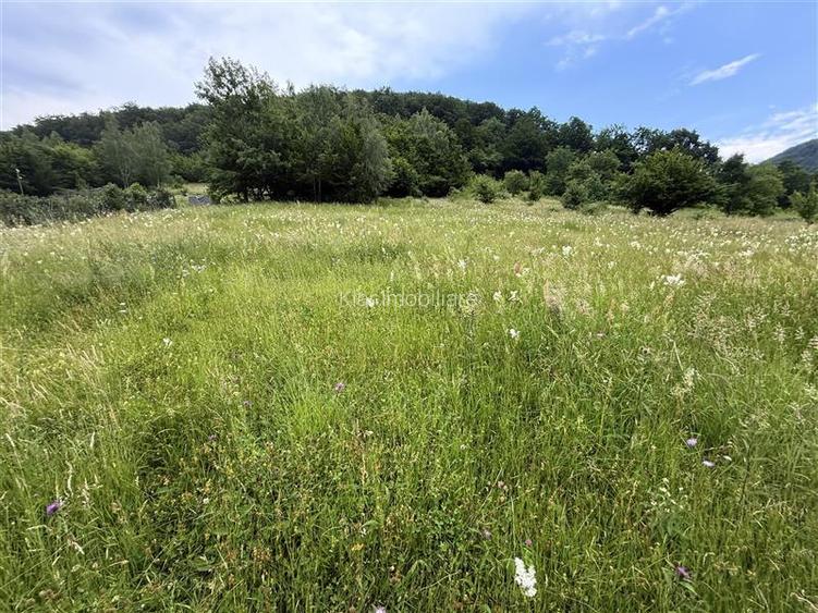 Comision 0%teren Somesu Rece zona Cabana Bradet - 2