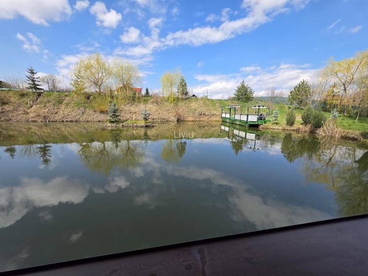 Vând teren cu iaz și livadă de nuci – Ilișești, aproape de Suceava - 7