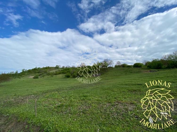 Teren Extravilan - Ghinda - 3.5000mp-Parcelabil - 3