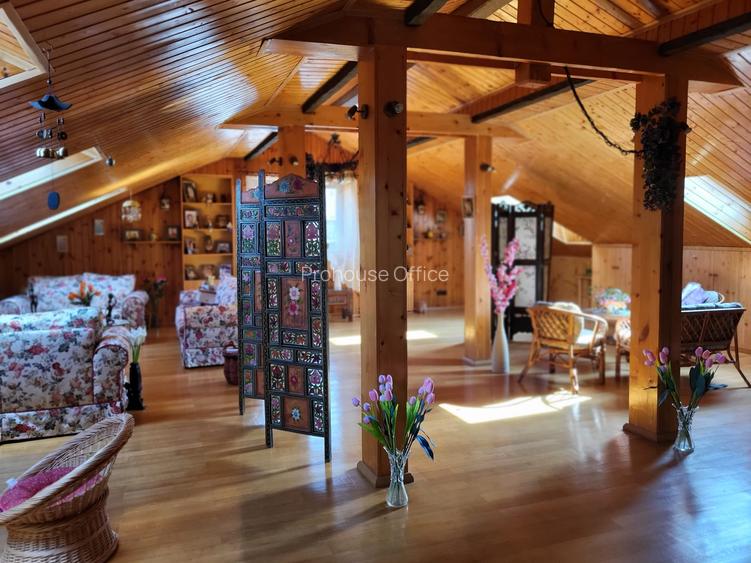 Vilă cu mobilă exotică și artă caraibiană – Snagov/Ciofliceni, aproape de lac - 2