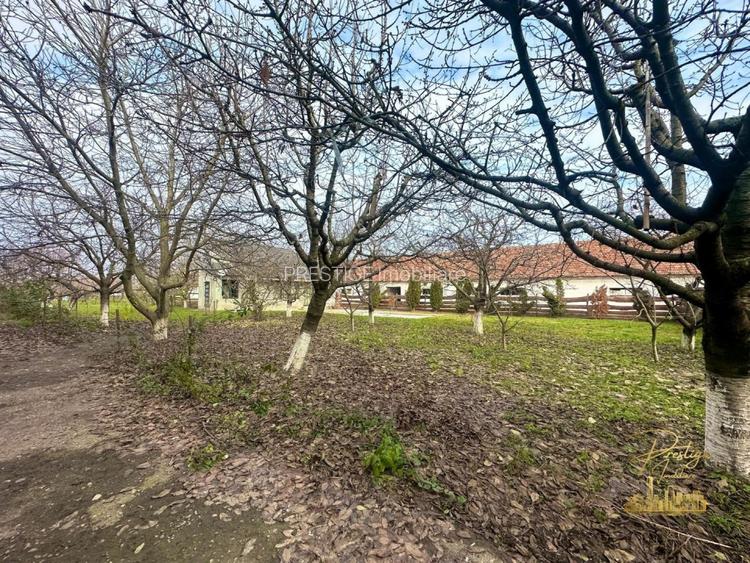 Domeniu - Centru de colectare, 7 ha de vanzare in Valea lui Mihai - 51