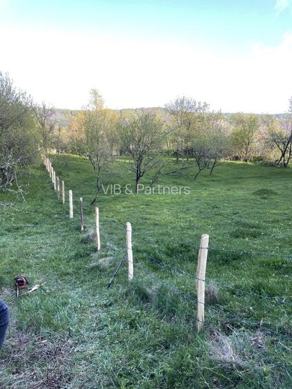 Mihaesti - Sat Draghici, teren intravilan, cu o suprafață generoasă de 7.280 mp - 6