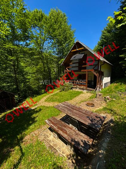 Cabana deosebită de vânzare între Valea Zălanului și Malnaș! - 11
