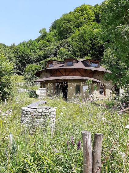 Proprietate pe Valea Vâlsanului – Cabane din lemn + Casă ecologică COB - 4