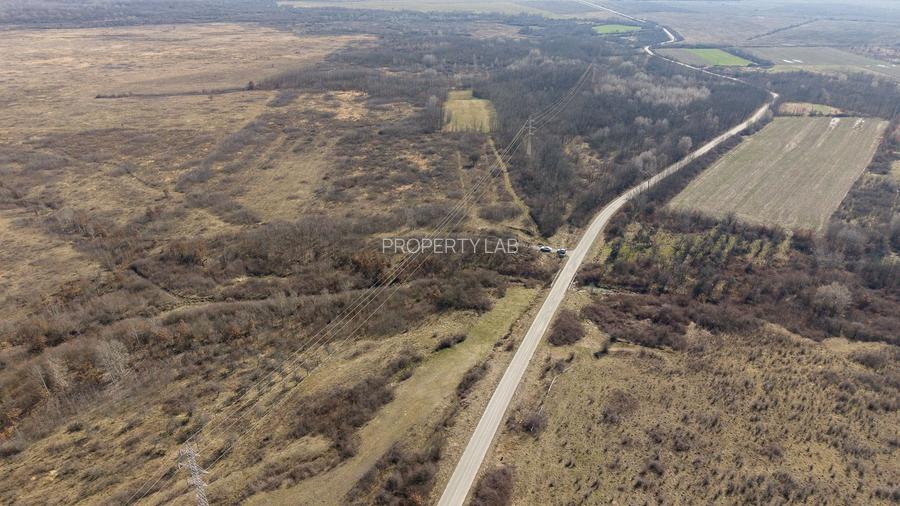 Teren extravilan 95.23 ha lângă Caransebeș - 9