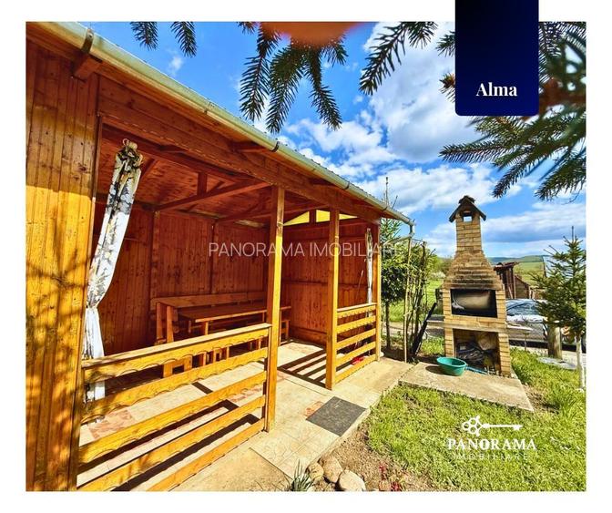 Teren Intravilan cu cabana  in satul transilvanean Alma - 9