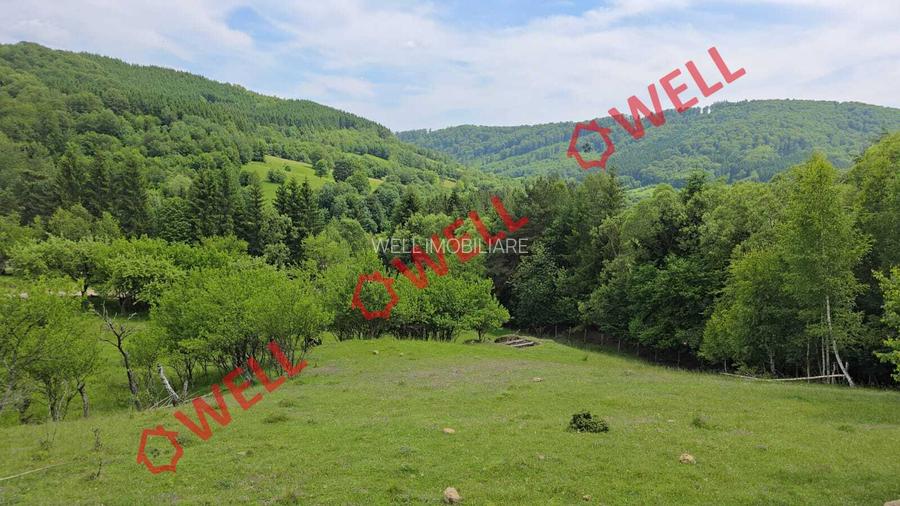 De vânzare teren intravilan în localitatea Scrădoasă! - 8